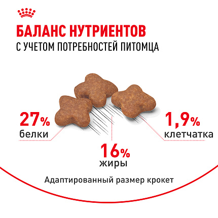 Cухой корм Royal Canin Mini Adult (МИНИ ЭДАЛТ) 2 кг